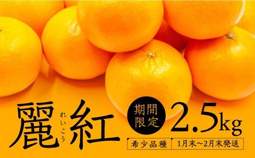 A511.【新種の柑橘】麗紅(れいこう)／約２．５キロ(2023年1月末～2月末発送予定)